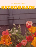 Summer 2025: Retrograde